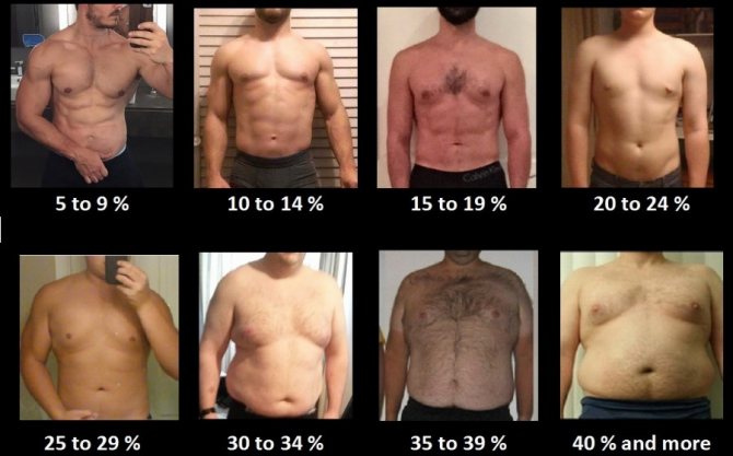 Pourcentage de graisse corporelle (hommes)
